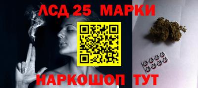 индика Обнинск