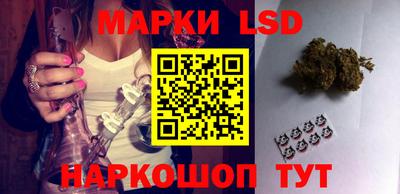 индика Обнинск