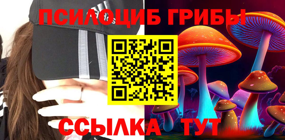Старая Купавна  Галлюциногенные грибы прущие грибы  Вход с VPN  продажа наркотиков  Псилоцибиновые грибы мицелий 