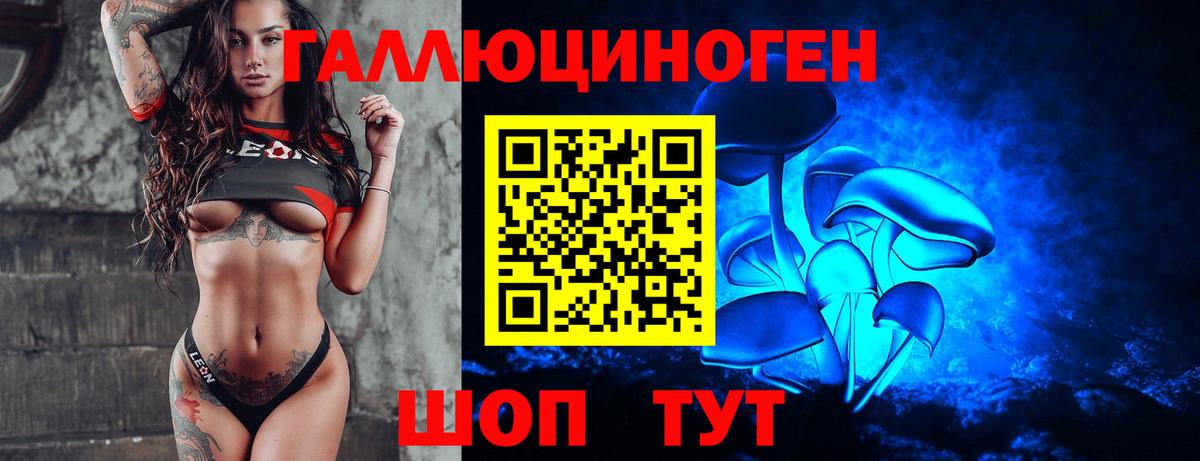 Галлюциногенные грибы Psilocybe  Старая Купавна 