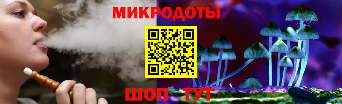 Галлюциногенные грибы Psilocybine cubensis Старая Купавна